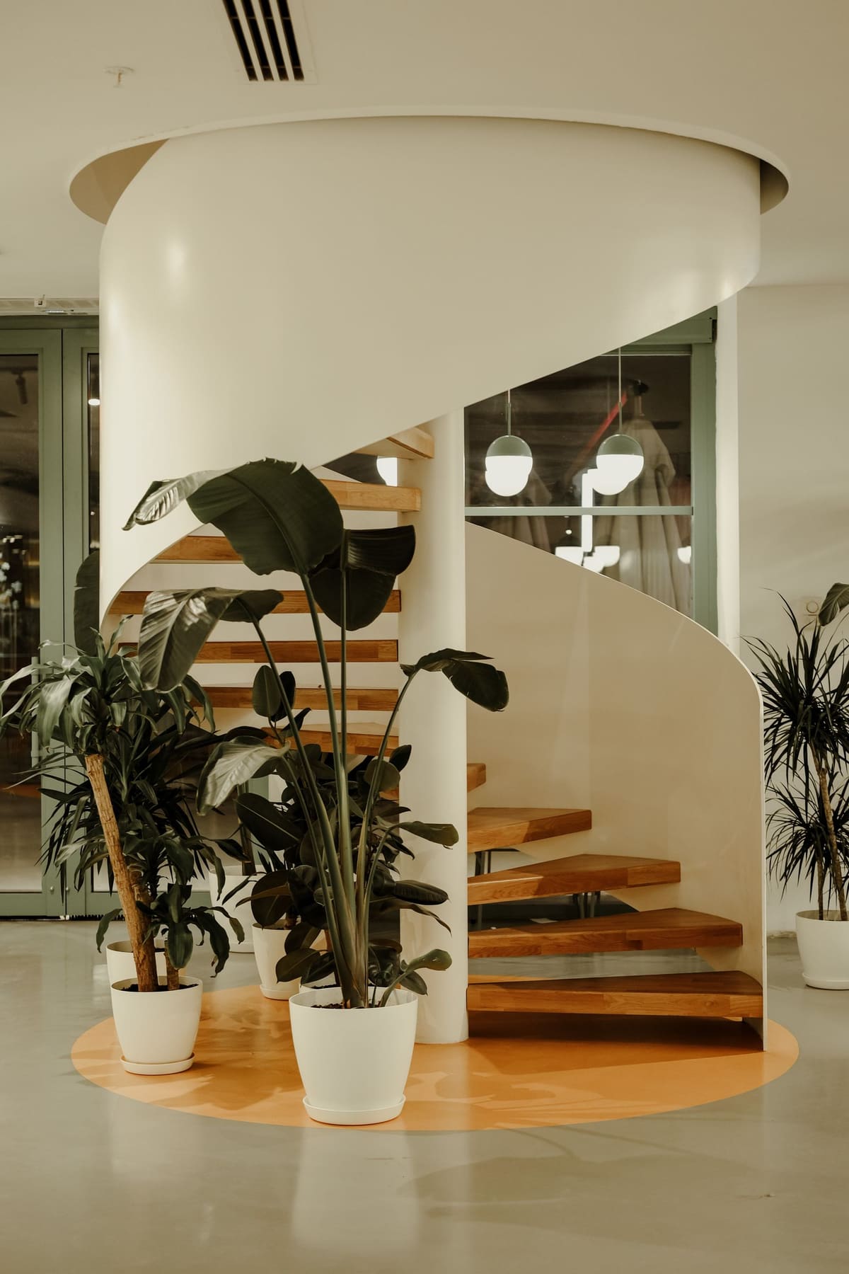 Spiral staircase with plants